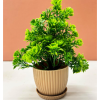 dekorly 6 packs fake plants small, mini artificial plants indoor for home farmhouse bathroom shelf décor (height : 17cm, chocolate) plastic